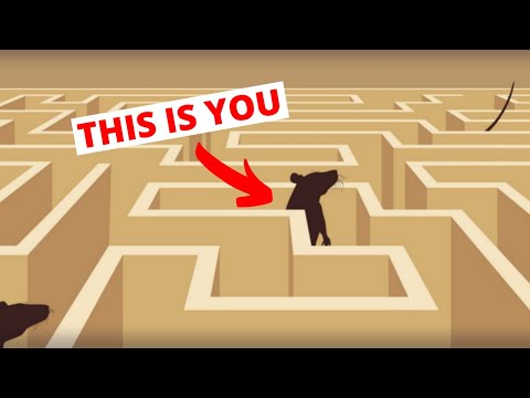 How to Escape The Rat Race of Chasing Happiness