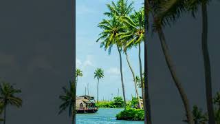 Beautiful places in Kochi Kerala vibes#keralatourism #beach #nature #travel #charmingplaces#trending