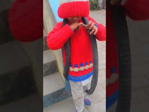 saperan🐍🐍😂😂#gaamilifestyle #viralshort #naginsong #funnyshorts