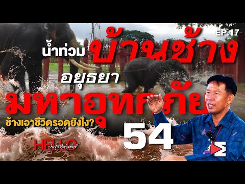 น้ำท่วมหมู่บ้านช้างอยุธยา มหาอุทกภัยปี 54 Hello ประวัติศาสตร์ EP.17