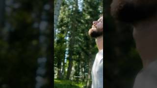 You will get “more infrared light “ when surrounded by tree #longevity #infraredlight #sunexposure
