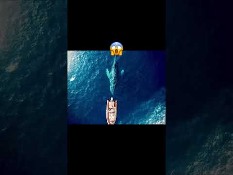 上空で撮影した不気味な写真 #shorts #wisdom