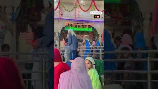 kina sohna tera darbar #peer_nigahe_wala786 #peernigaha #youtubeshorts #mela #lakhdatapeer #youtube