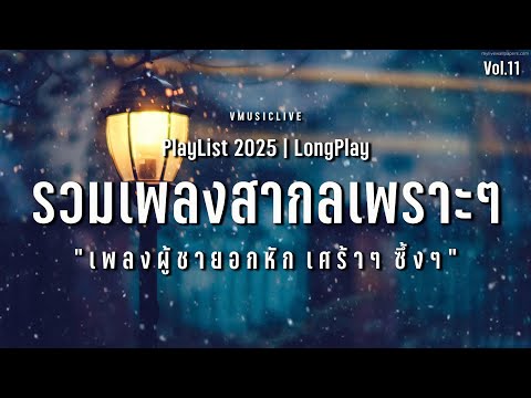 รวมเพลงสากลเพราะๆ เพลงผู้ชายอกหัก เศร้าๆ ซึ้งๆ บรรยากาศเหงาๆ | VMUSICLIVE #longplay #music Vol.11