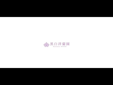 【胡蝶蘭専門農園_黒臼洋蘭園】企業PR動画