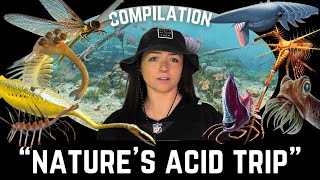 The Paleozoic Era (That We Know Of) Compilation | Lindsay Nikole