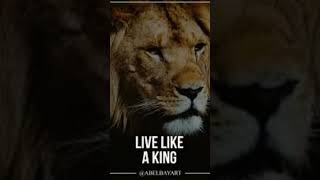live like a king #guitar #cover