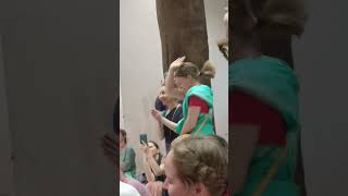 Harinam Sankirtan in Damodar temple Vrindavan dham 2024 #iskcon#kartikmass#kirtan#harenam#hari