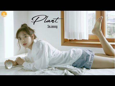 세정 (SEJEONG) - '화분 (Plant)' Lyrics