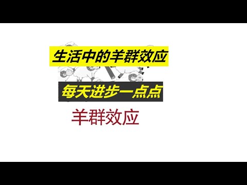 每天进步一点点——从羊群效应看次贷危机。阐述生活里的跟风现象。