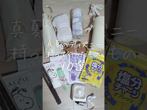 真夏のディズニーの持ち物！35℃前後のパークでの熱中症に気をつけて🥵【荷造り】【準備】【持って行くもの】【ディズニーランド】【ディズニーシー】【ファンタジースプリングス】【舞浜】【猛暑日】