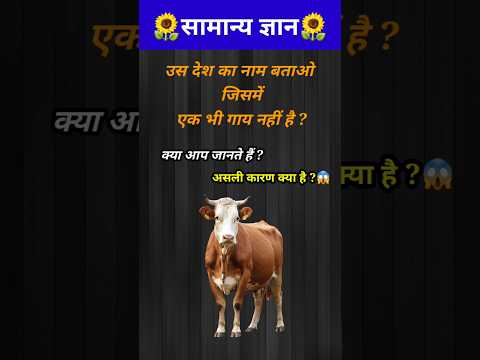 कौन से देश में एक भी गाय नहीं है?💯// GK question // #shorts #gyaanibomb #youtubeshorts #shortsfeed