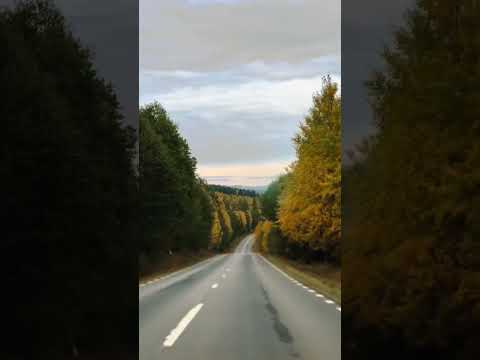 This is how. #financialfreedom #informagon #sweden #autumn