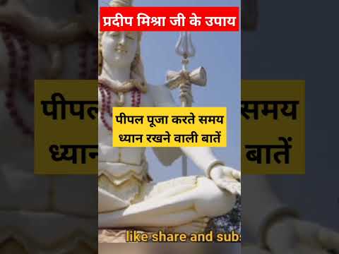 #peepal पीपल पूजा कैसे करें || #shotfeed #shotsfeed #pradeepmishra #