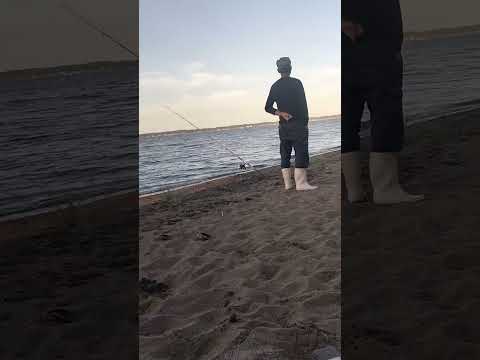 6 กันยายน ค.ศ. 2025