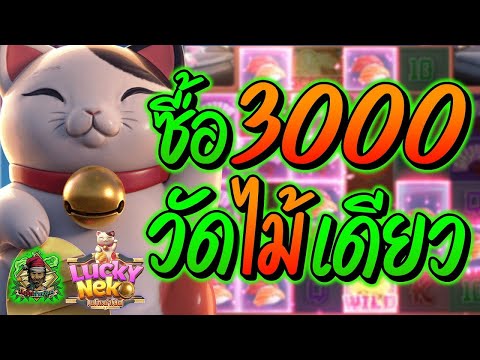 สล็อต สล็อตPG สล็อตแตกง่าย สล็อตวอเลท สล็อตล่าสุด ➤ Lucky Neko ➤ ซื้อ3,000วัดไปเลย!!!