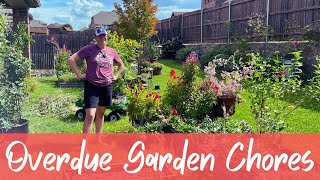 I've Been So Sick! Overdue Garden Chores 🌲|| Pruning, Harvesting, Planting, & Trimming The Willow