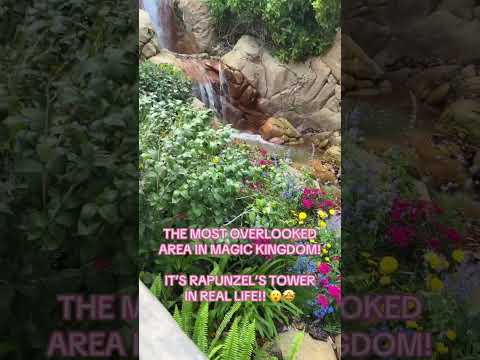 RAPUNZELS TOWER IN REAL LIFE!! AT DISNEY WORLD MAGIC KINGDOM!! 😱🤩