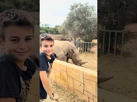 Animal Fun Facts: White Rhino! 🦏🌍 | George & Emma