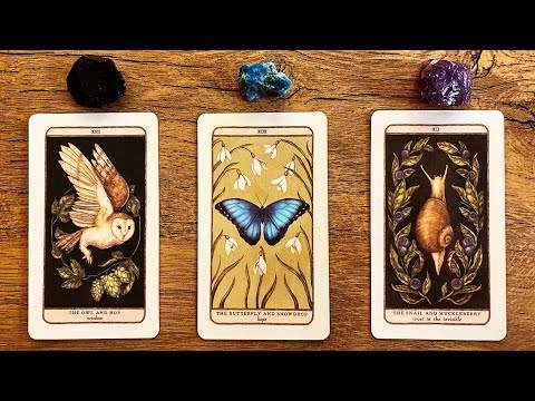 🌟THIS WILL FIND YOU WHEN THE TIME IS RIGHT!🌟 | Pick a Card Tarot Reading