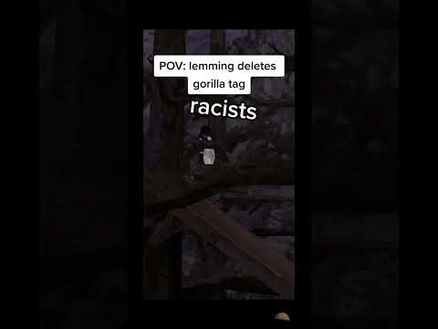 POV when lemming deletes gtag #fyp #gorillatag #blowup #funny #relatable