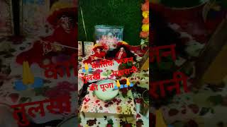 #tulsimata #kartikmass #tulsimatabhajan #tulsipuja #kartikmonth #tulsivivahgeet #tulsi