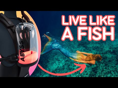 Top 7 Revolutionary Innovations For An Underwater Lifestyle