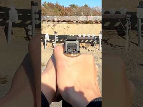 Iron sights vs red dot