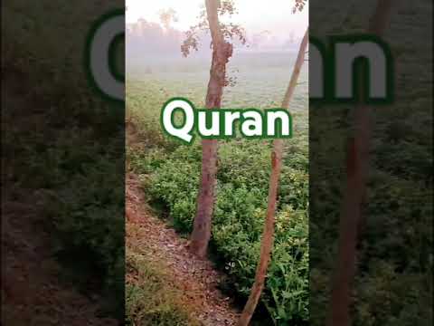 Quran pak 🤲🥹#shorts#quran  #viralvlog