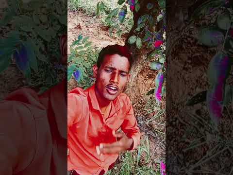 #Video | बड़े घमंड तोरा यार पर | #TuntunYadav | New Bhojpuri Song YouTube.#shortvideo