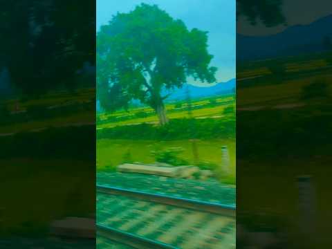 Legend Rahat Indori X unse milne ki tamanna bhi bahut h magar aane jaane me kiraya bhi bahut lagta h