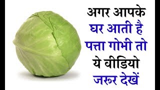 अगर आपके घर आती है पत्ता गोभी तो ये वीडियो जरूर देखें