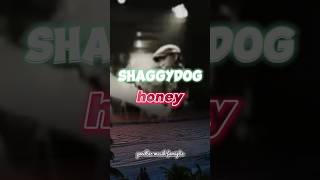 shaggydog "honey" #lagupopindonesia #liriklagu #tophitsspotify