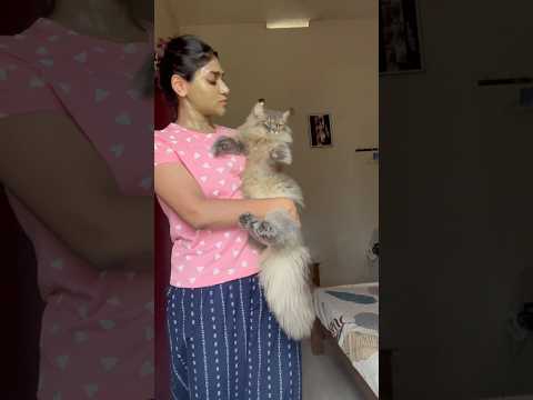ഒരു സൂപ്പർ ഈസി ടാൻ റിമൂവൽ ഫേസ് പാക്ക്! 🧖‍♀️✨ #shorts #youtubeshorts #viralvideo #viral #trending