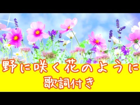 野に咲く花のように🌼ダ・カーポ  歌詞付き💎裸の大将主題歌 高音質フル🎧(cover)