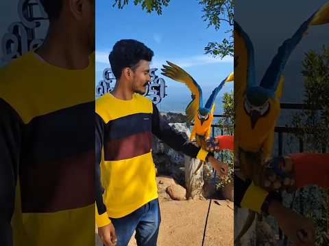 Mini Ooty 😍 #shortvideo