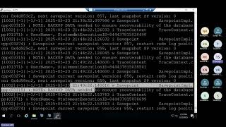 SAP HANA Studio - Session 4 (OS Level File Systems & Security)