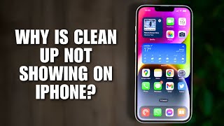 Why Is Clean Up Not Showing on iPhone? (Fix Guide for iOS 18.4.1)