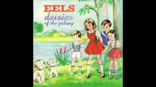 The Eels - Flyswatter