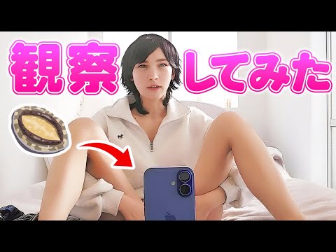 【現役留学生】鏡でアソコをじっくり観察してみたら…