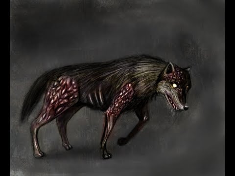 Sim plays Penumbra overture