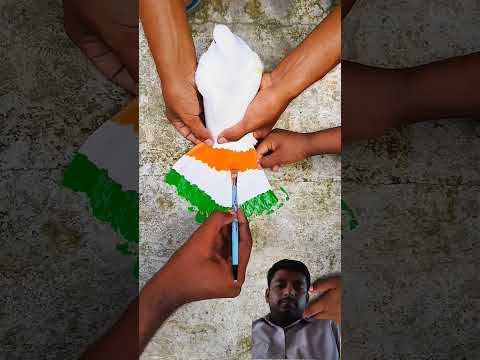 happy independence day || 15 august status video 🇮🇳🇮🇳❤ #shorts #india #independenceday #pigeon