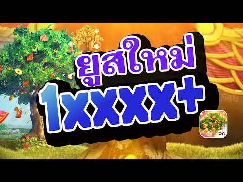 เว็บตรงไม่ผ่านเอเย่นต์ | สล็อต | เว็บตรงไม่ผ่านเอเย่นต์2024 | Prosperity Fortune Tree