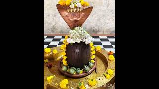 mujhe tera nasha h #viralvideo #bholenathbhakts #mahakal