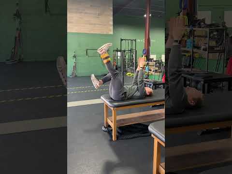 Dead Bug Resisted Hip Flexion (Eccentric Focus)