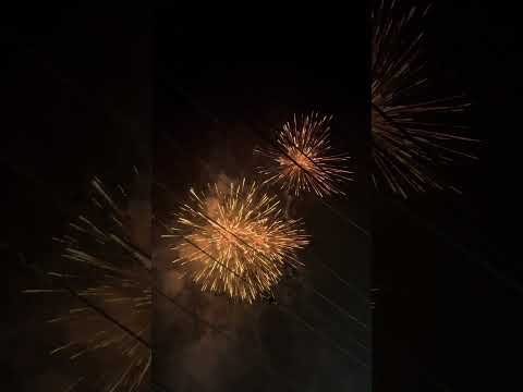 4*6 Elephant fireworks #diwalispecial #diwali #diwali2024 #diwalistatus #diwalicelebration
