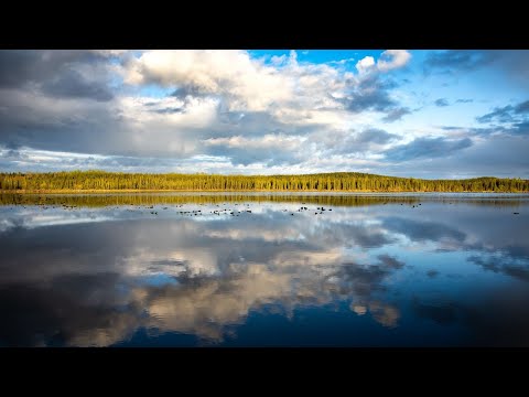 Relaxing Music, Meditation Music, Sleeping Music, Yoga Music, Spa Music, Study Music, Insomnia ☯014