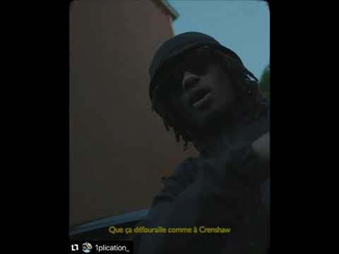 1PLIKE140 - FREESTYLE IG