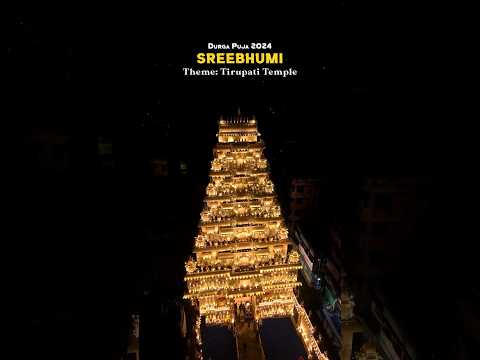 Sreebhumi Durga puja 2024 || best pandal kolkata #ytshortsindia #durgapuja #durgapuja2024 #ytshorts