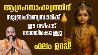 ആഗ്രഹസാഫല്യത്തിന് സുബ്രഹ്‌മണ്യസ്വാമിക്ക് ഈ വഴിപാട് നടത്തിക്കൊള്ളൂ, ഫലം ഉറപ്പ്! #subramanyaswamy
